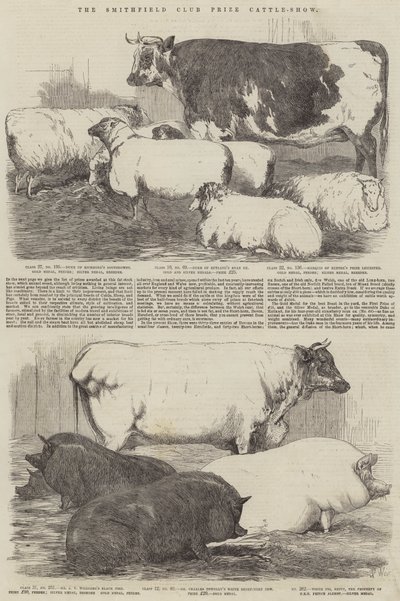 La Exposición de Ganado del Club Smithfield de Harrison William Weir